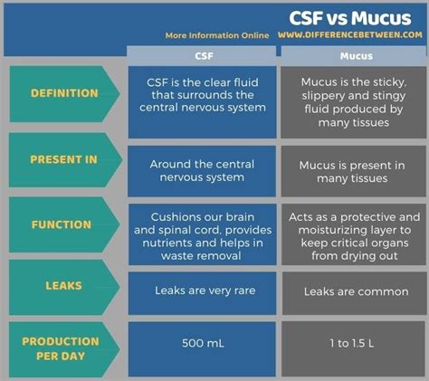 csf vs mucus|Difference between CSF and Mucus